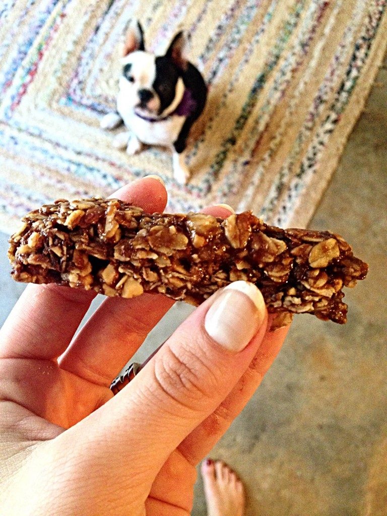 chocolate peanut butter banana granola bar with dog in background