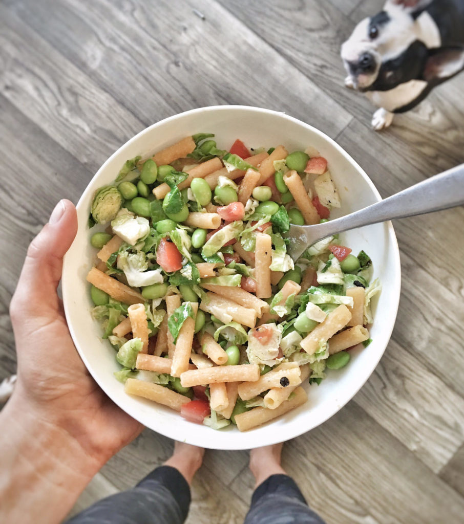 protein veggie bowl with dog in background