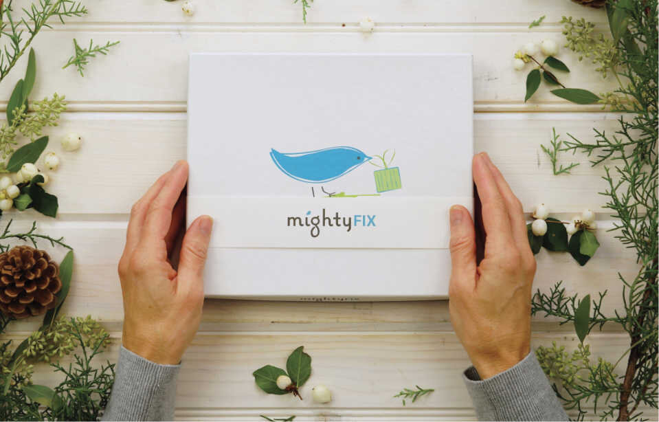 hands holding mighty fix box
