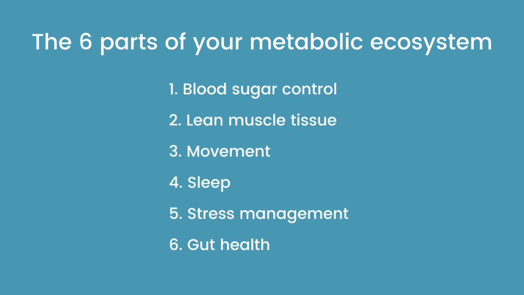The 6 parts of your metabolic ecosystem:
1. Blood sugar control
2. Lean muscle tissue
3. Movement
4. Sleep
5. Stress management
6. Gut health