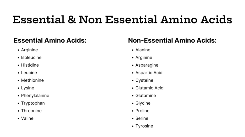 Essential & non essential amino acids.

Essential amino acids: arginine, isoleucine, histidine, leucine, methionine, lysine, phenylalanine, tryptophan, threonine, valine

Non-essential amino acids: alanine, arginine, asparagine, aspartic acid, cysteine, gluatamic acid, glycine, proline, serine, tyrosine