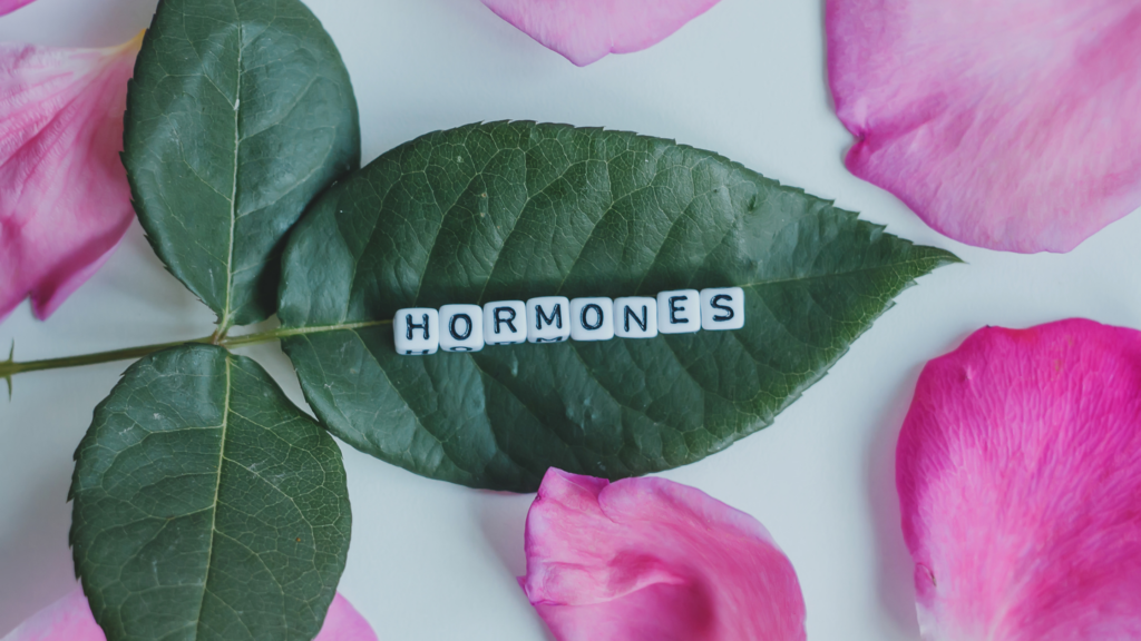 The word "hormones" is written out over a green leaf, surrounded by pink rose petals